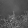 Webcam_20211214-050000
