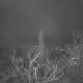 Webcam_20211214-053000