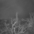 Webcam_20211214-061500