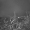Webcam_20211214-071500