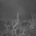 Webcam_20211215-051500