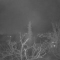 Webcam_20211215-053000
