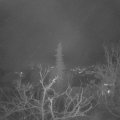 Webcam_20211215-054500