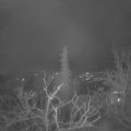 Webcam_20211215-060000