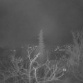 Webcam_20211216-050000