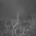Webcam_20211216-051500