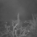 Webcam_20211216-053000
