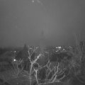 Webcam_20211216-073000