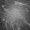 Webcam_20211218-191500