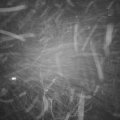 Webcam_20211218-193000