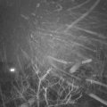 Webcam_20211218-194500
