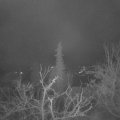 Webcam_20211219-054500