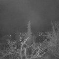 Webcam_20211219-061500
