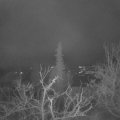 Webcam_20211219-071500