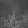 Webcam_20211220-051500
