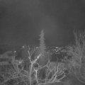 Webcam_20211220-061500