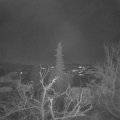Webcam_20211220-064500