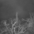 Webcam_20211223-063000