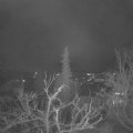 Webcam_20211223-070000