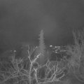 Webcam_20211227-064500