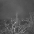 Webcam_20211229-070000