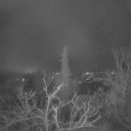 Webcam_20211229-071500