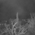 Webcam_20220103-050000