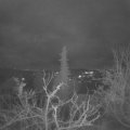 Webcam_20220103-073000