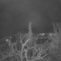 Webcam_20220103-201500