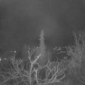 Webcam_20220104-050000