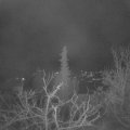 Webcam_20220104-053000