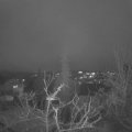 Webcam_20220104-171500