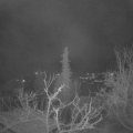 Webcam_20220107-060000