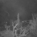 Webcam_20220107-061500