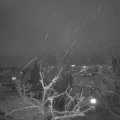 Webcam_20220107-181500