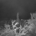 Webcam_20220108-070000