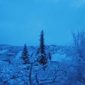 Webcam_20220108-080000