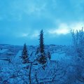 Webcam_20220108-084500