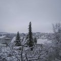 Webcam_20220108-110000