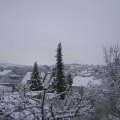Webcam_20220108-114500