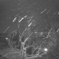 Webcam_20220108-174500
