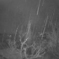 Webcam_20220109-050000