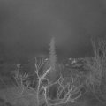 Webcam_20220109-054500