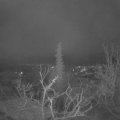 Webcam_20220109-060000