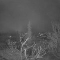 Webcam_20220109-063000