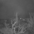 Webcam_20220109-064500