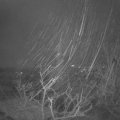 Webcam_20220109-070000