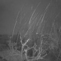Webcam_20220109-071500