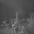Webcam_20220109-220000