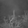 Webcam_20220110-051500